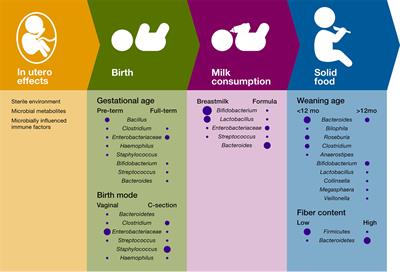 Patterns of Early-Life Gut Microbial Colonization during Human Immune Development: An Ecological Perspective